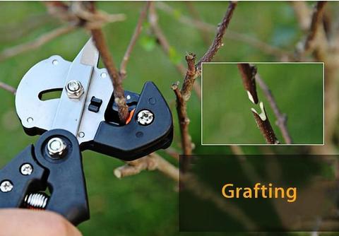 Garden Fruit Tree Pro Pruning Shears Scissor Grafting Cutting Tool 2 Blade Garden Tools Set Pruner Tree Cutting Tool