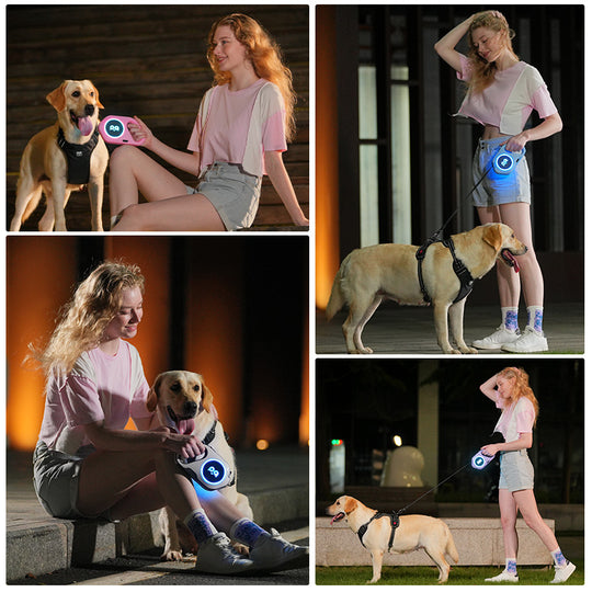 Automatic Retractable LED Light Dog Leash